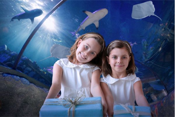 Gardaland SEA LIFE Aquarium_compleanno 2017