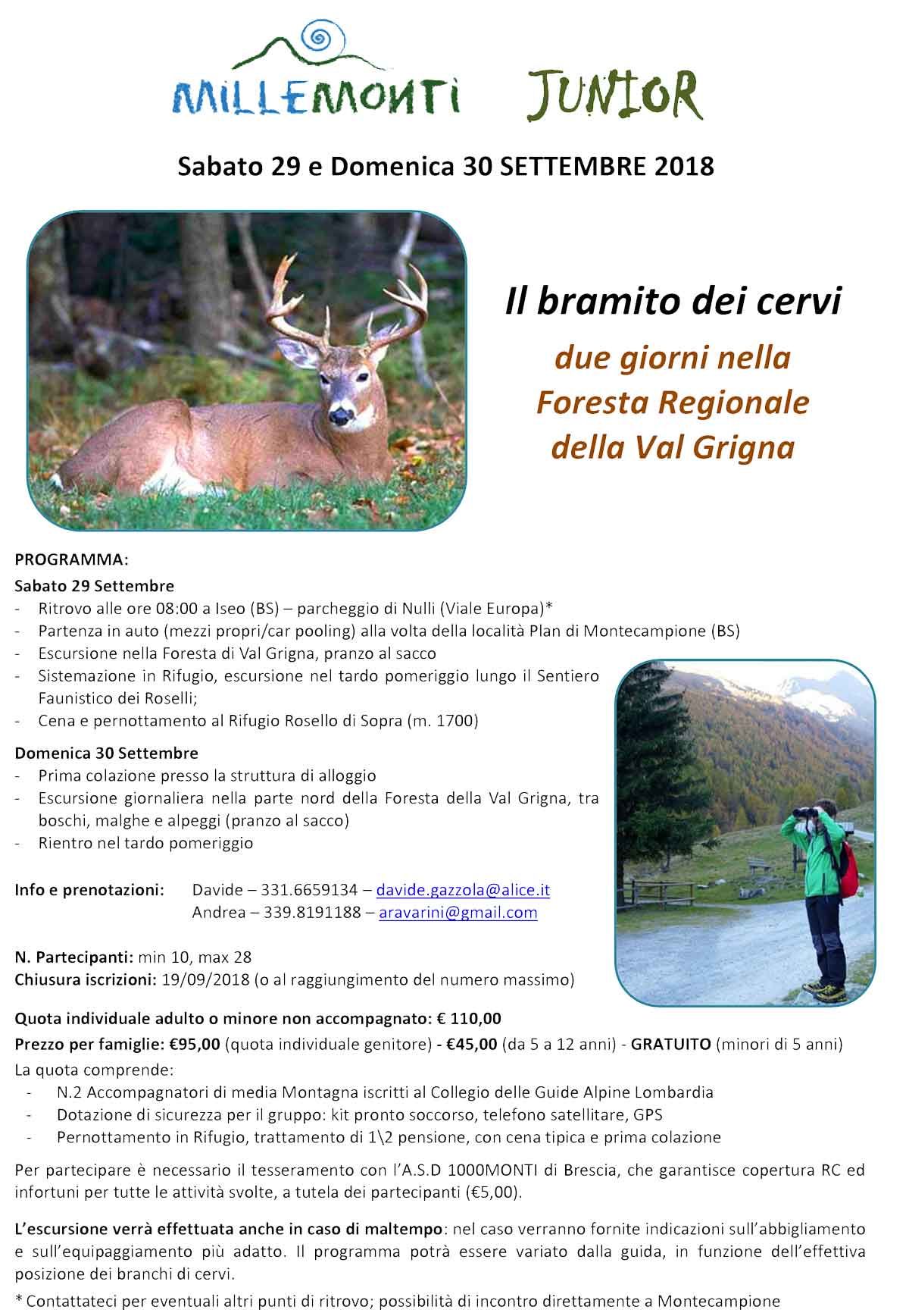 Millemonti-Bramito-dei-cervi-family-camp