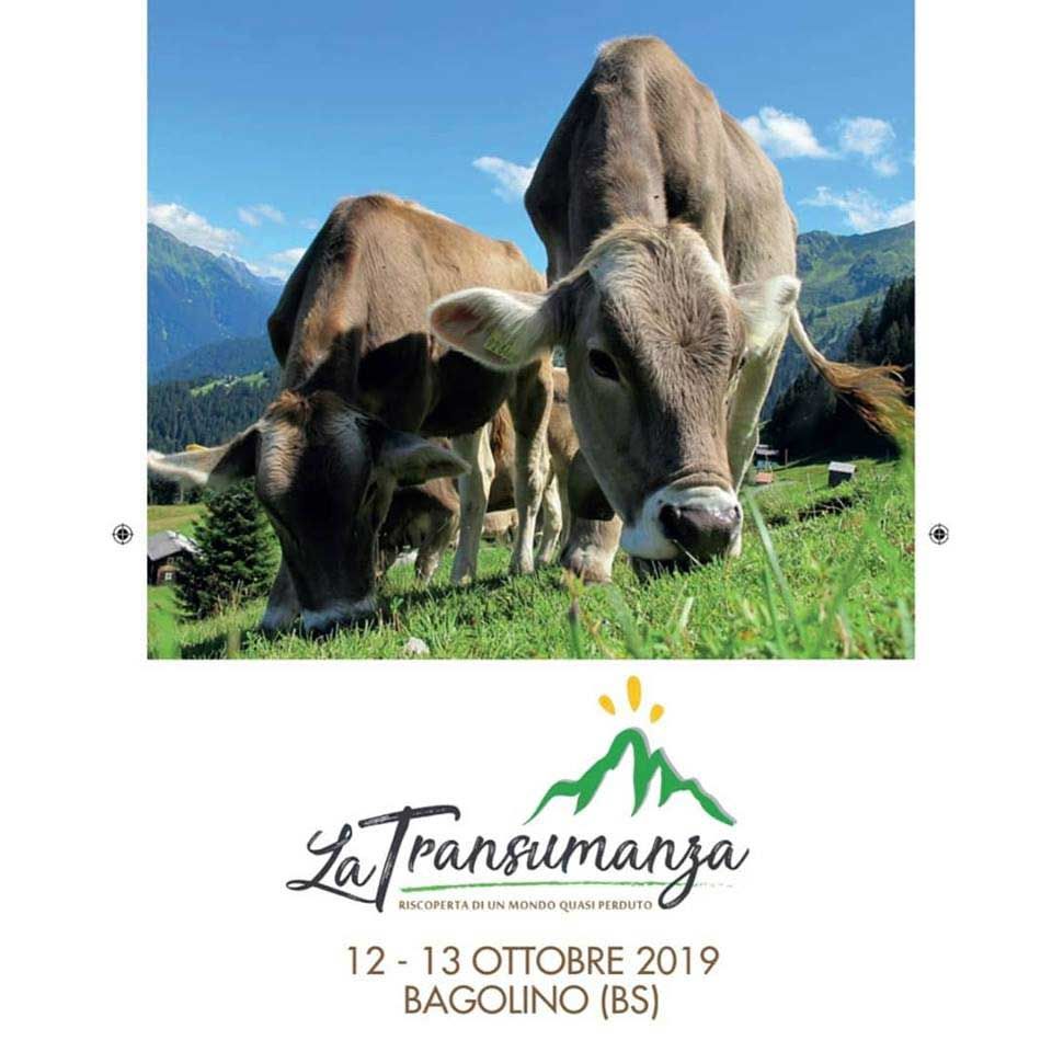 la-transumanza-bagolino-2019