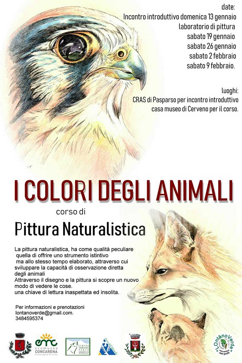 Corso-pittura-naturalistica-lontanoverde