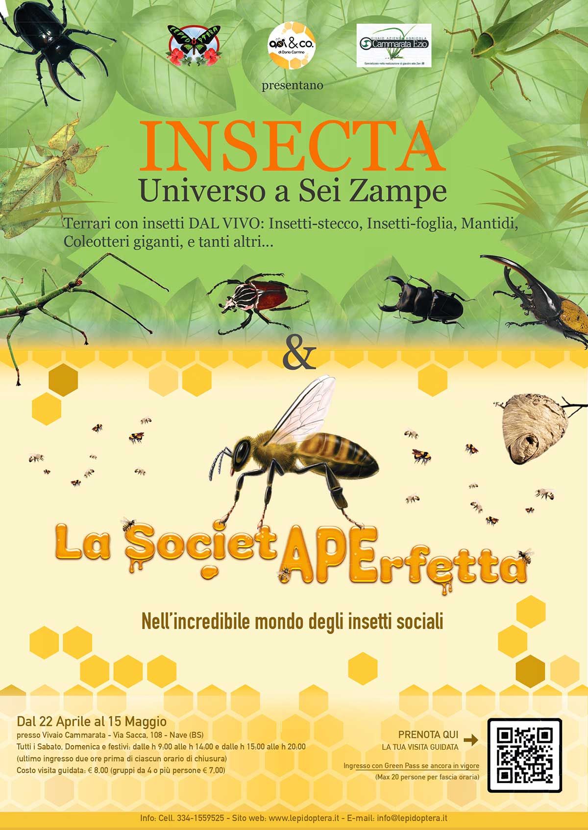 Insecta.-e-la-societa-perfetta
