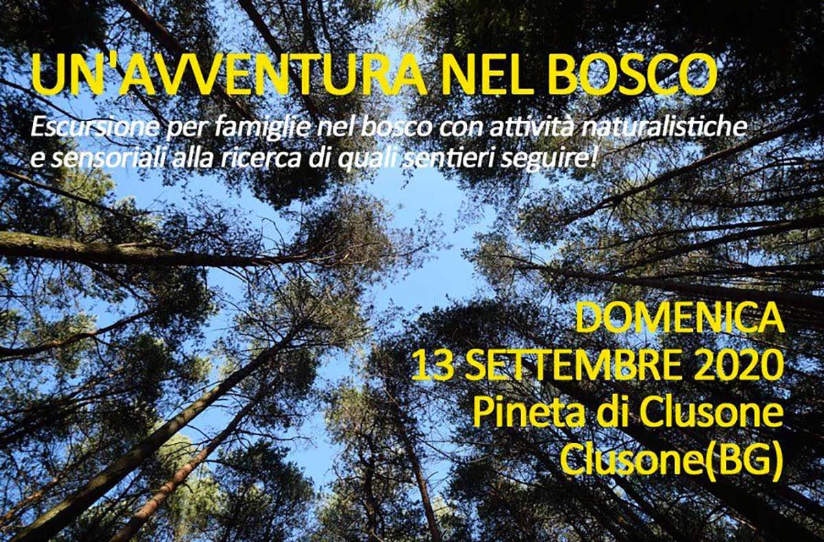 avventura-nel-bosco-emozione-natura-settembre-2020