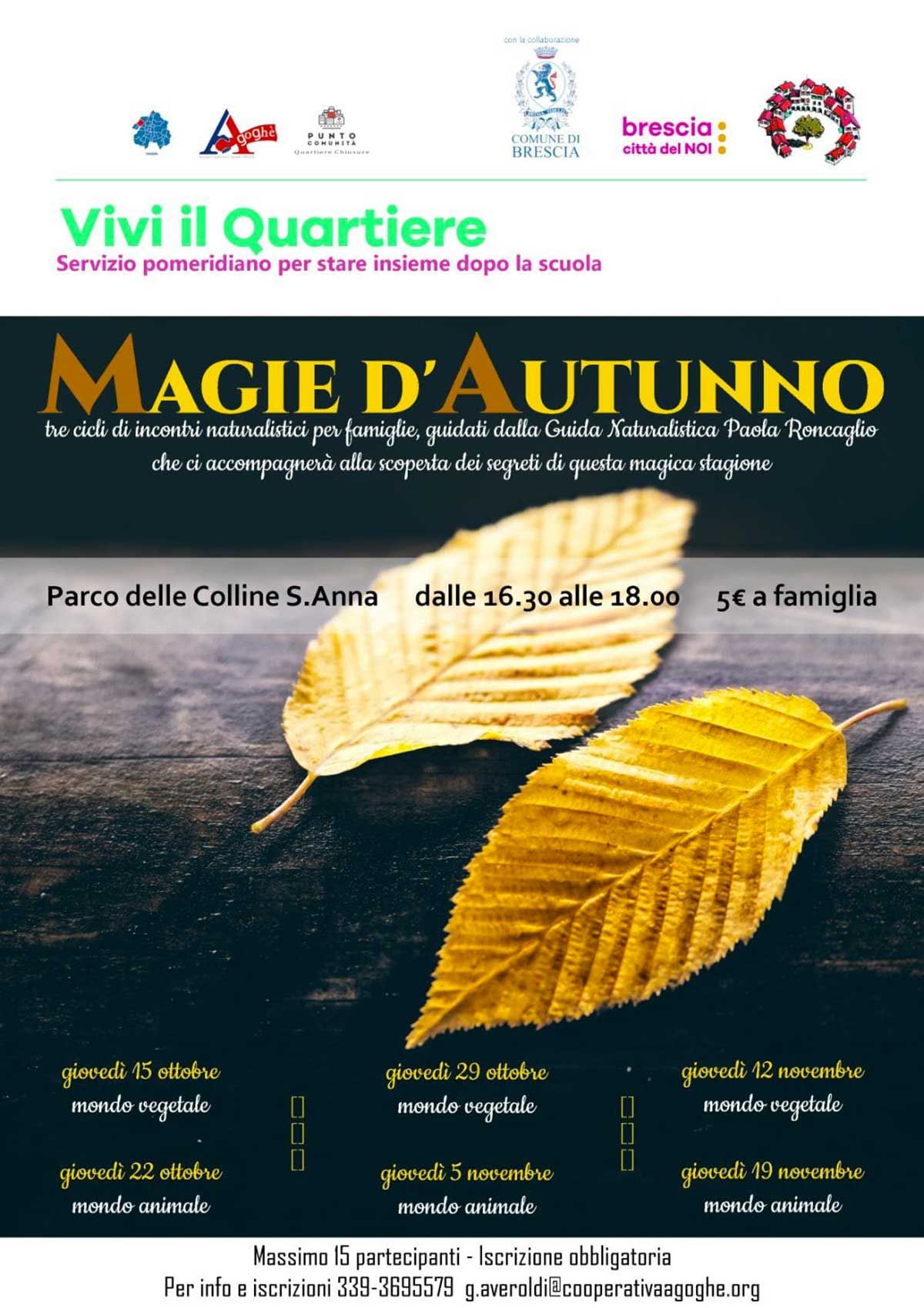 magie-autunno-vivi-quartieri-cdq-chiusure-2020