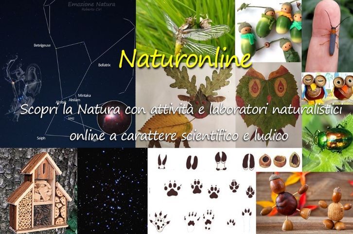 naturonline-proposte-natura-emozione-natura-online