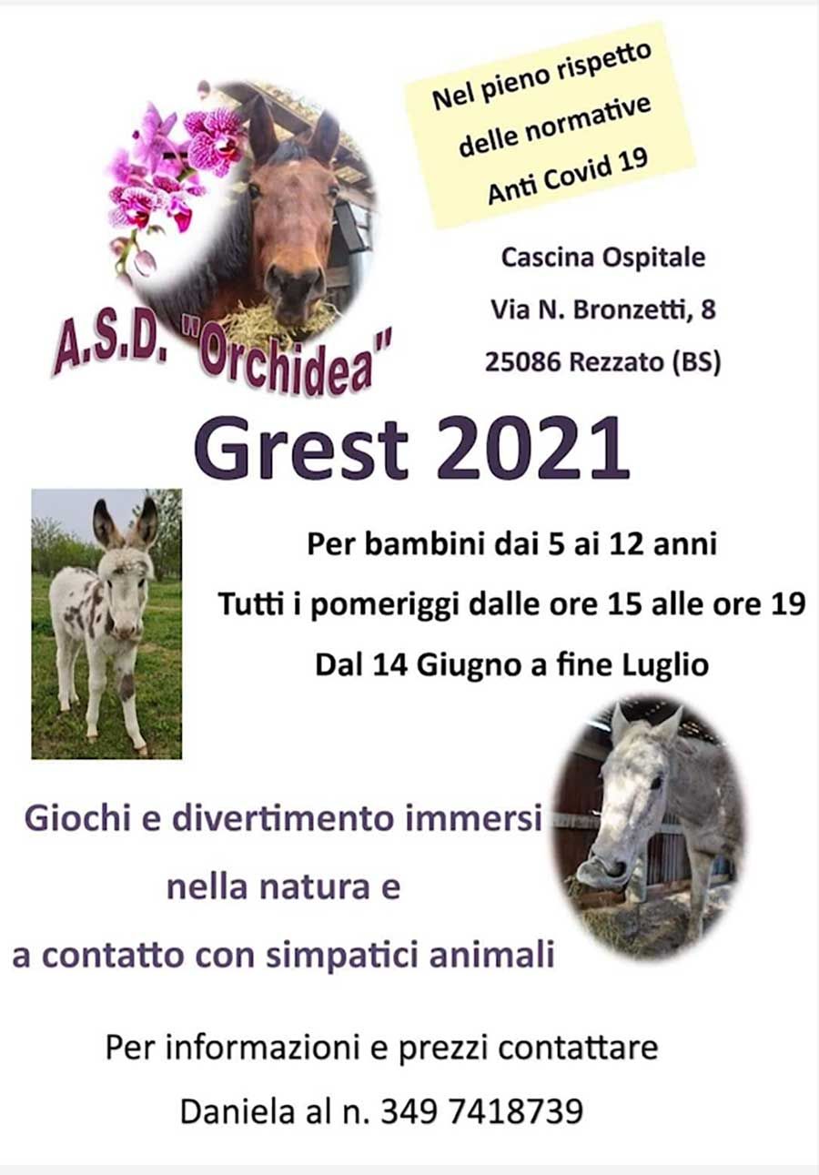 grest-2021-orchidea
