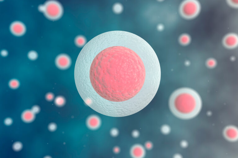 Come avviene la conservazione delle staminali cordonali?