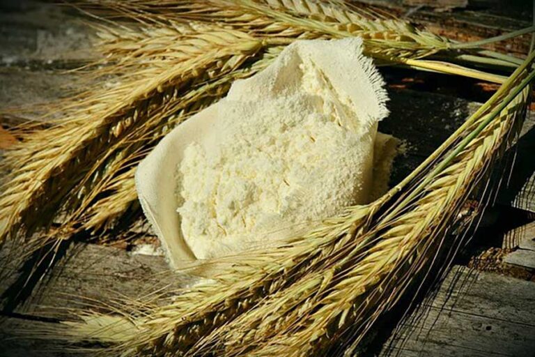 Prodotti GLUTEN-FREE: scelta sana-dietetica o retorica?