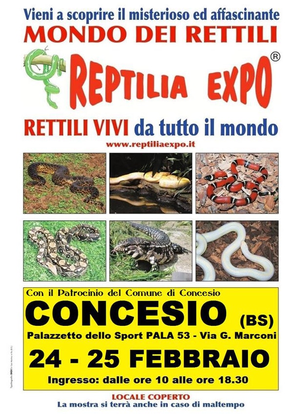 Reptilia Expo a Concesio | Mostra serpenti