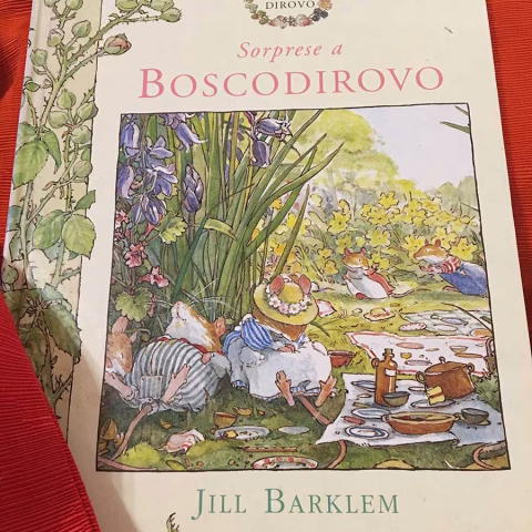 sorprese-a-boscodirovo-libro