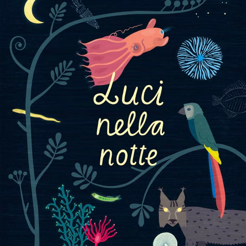 Luci-nella-notte-copertina-camelozampa-recensione-fata-violetta