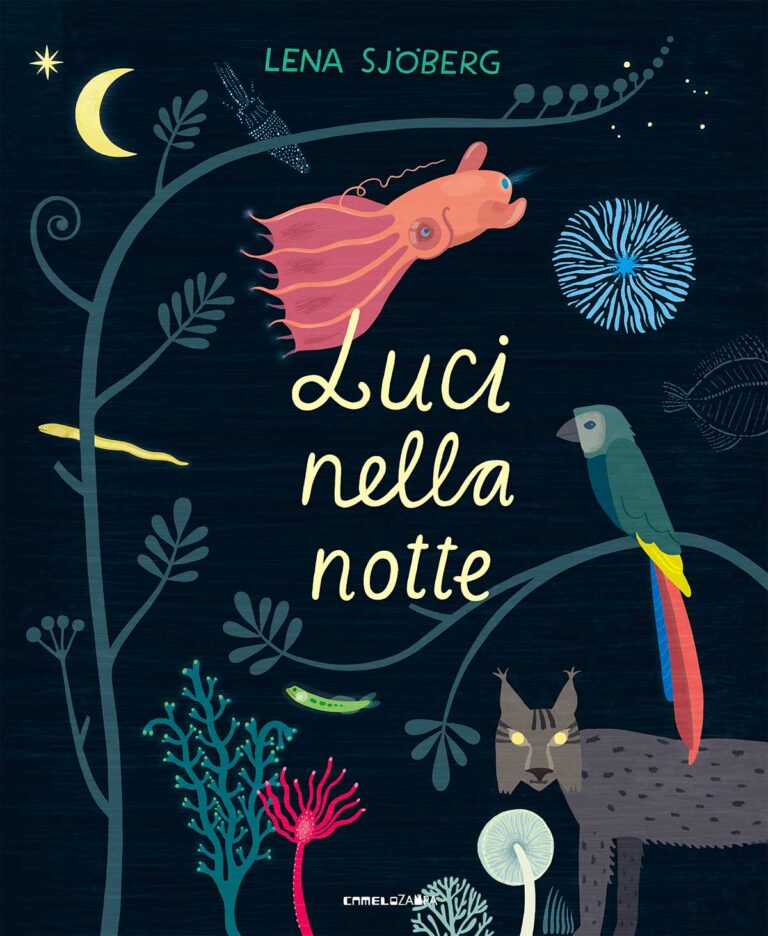 Libri per bambini – Luci nella notte