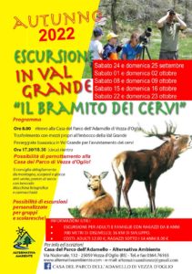 Il bramito dei cervi - Vezza d'Oglio @ Casa del Parco dell’Adamello di Vezza | Vezza d'Oglio | Lombardia | Italia