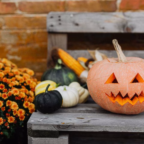 laboratori-creativi-halloween