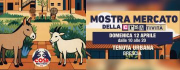 Sponsor: Cose Mai Viste