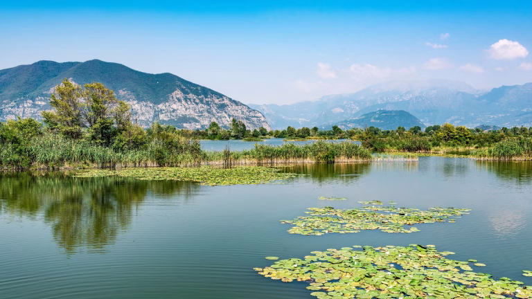 Aprile in fiore: 3 passeggiate facili a Brescia e provincia per piccoli esploratori