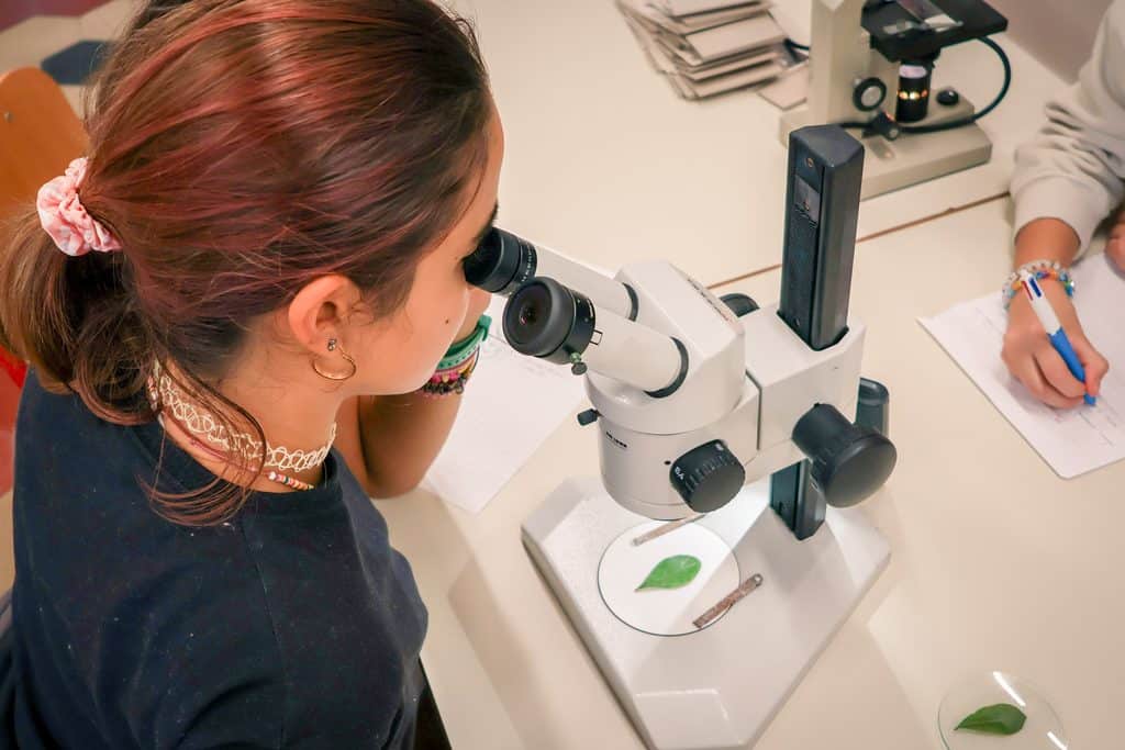 Dai primi perché alla robotica educativa: il percorso laboratoriale della Scuola Audiofonetica secondaria