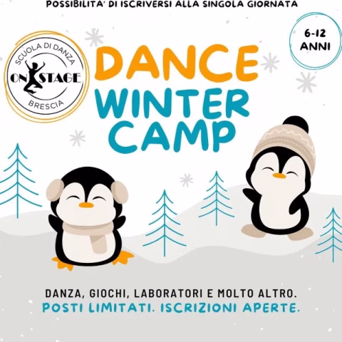 Winter Dance Camp