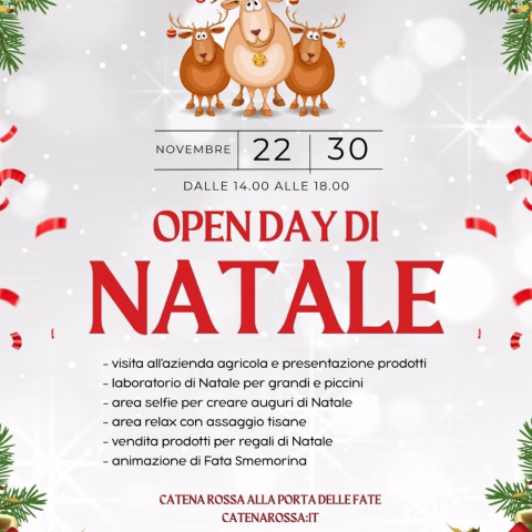 Open day di Natale