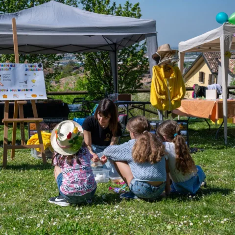 I Segreti della Natura – Disegniamo l’Arte