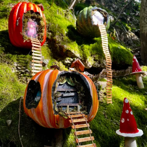 Una Magica avventura d'Autunno 🍂🍁🧚🏻