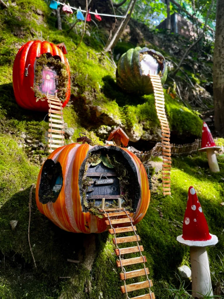 Una Magica avventura d’Autunno 🍂🍁🧚🏻